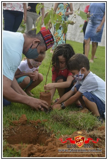 rolim de moura